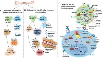 New Approaches for the Treatment of Chronic Graft-Versus-Host Disease: Current Status and Future Directions